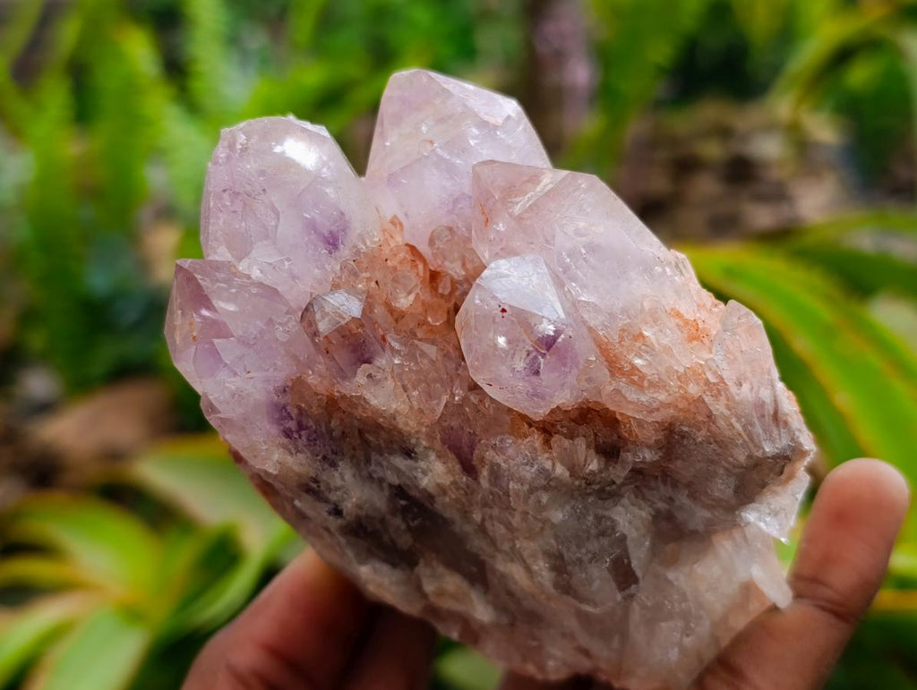 Natural Sugar Amethyst Clusters x 6 From Zambia