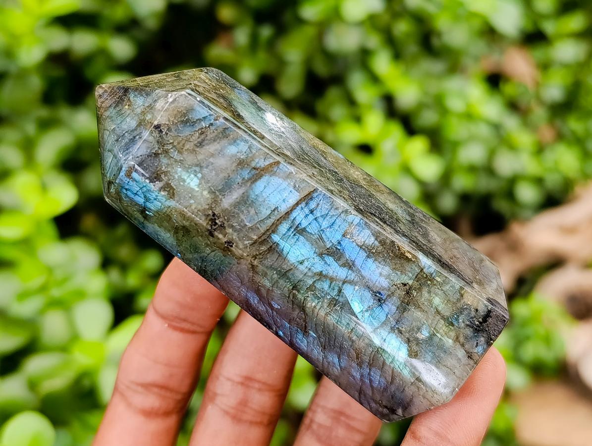Polished Labradorite Crystals x 6 From Tulear, Madagascar