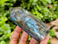 Polished Labradorite Crystals x 6 From Tulear, Madagascar