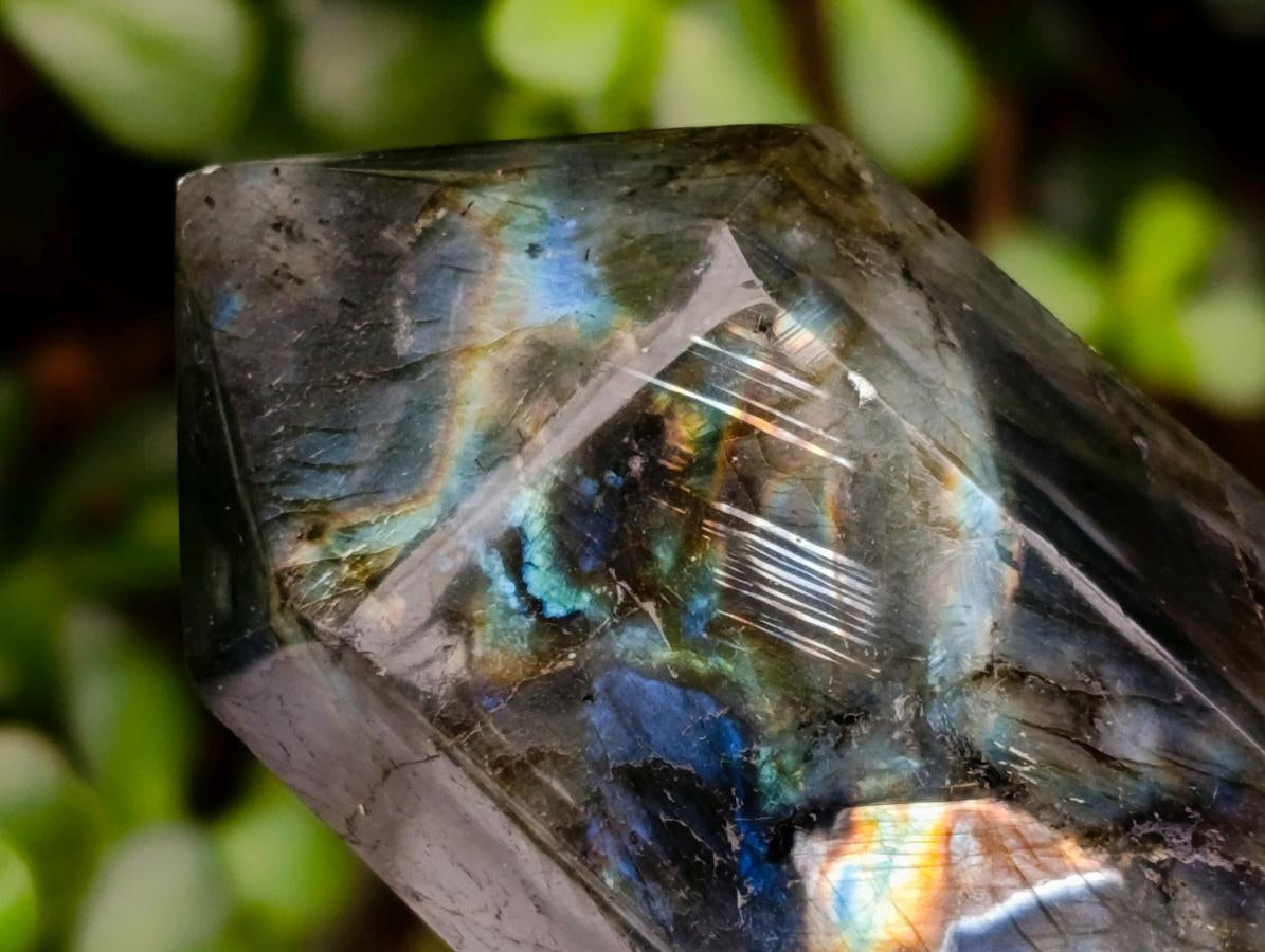 Polished Labradorite Crystals x 6 From Tulear, Madagascar