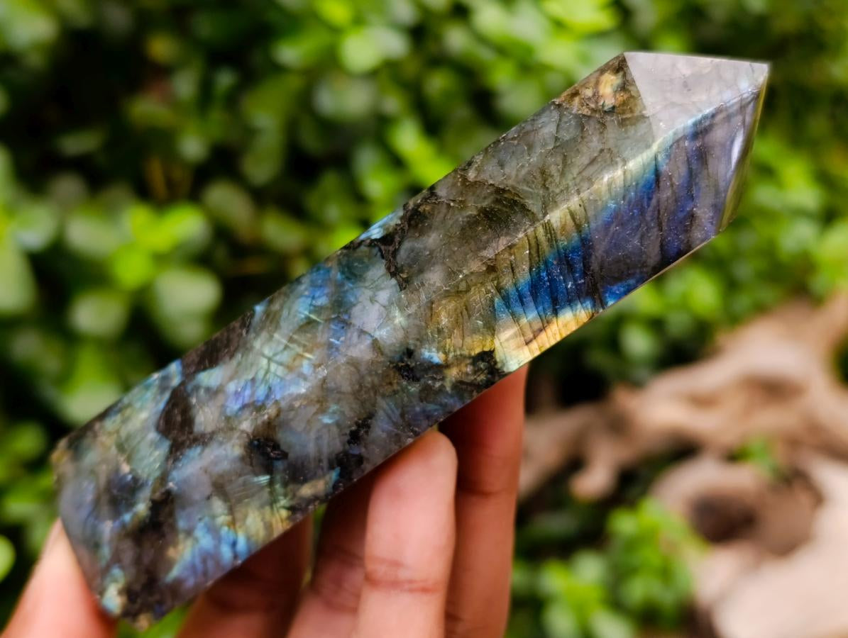 Polished Labradorite Crystals x 6 From Tulear, Madagascar