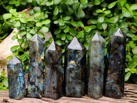 Polished Labradorite Crystals x 6 From Tulear, Madagascar
