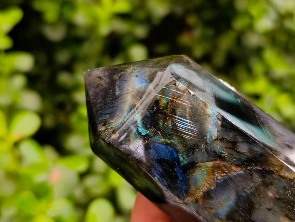 Polished Labradorite Crystals x 6 From Tulear, Madagascar