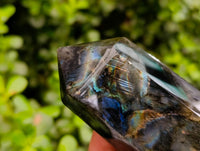 Polished Labradorite Crystals x 6 From Tulear, Madagascar