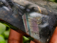 Polished Labradorite Crystals x 6 From Tulear, Madagascar
