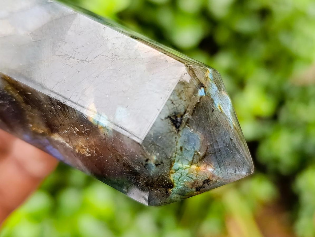 Polished Labradorite Crystals x 6 From Tulear, Madagascar