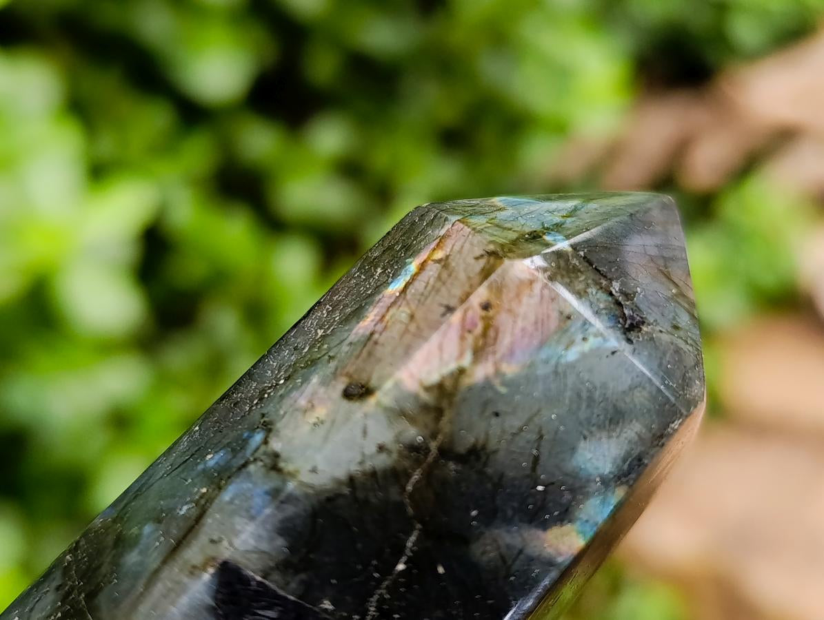 Polished Labradorite Crystals x 6 From Tulear, Madagascar