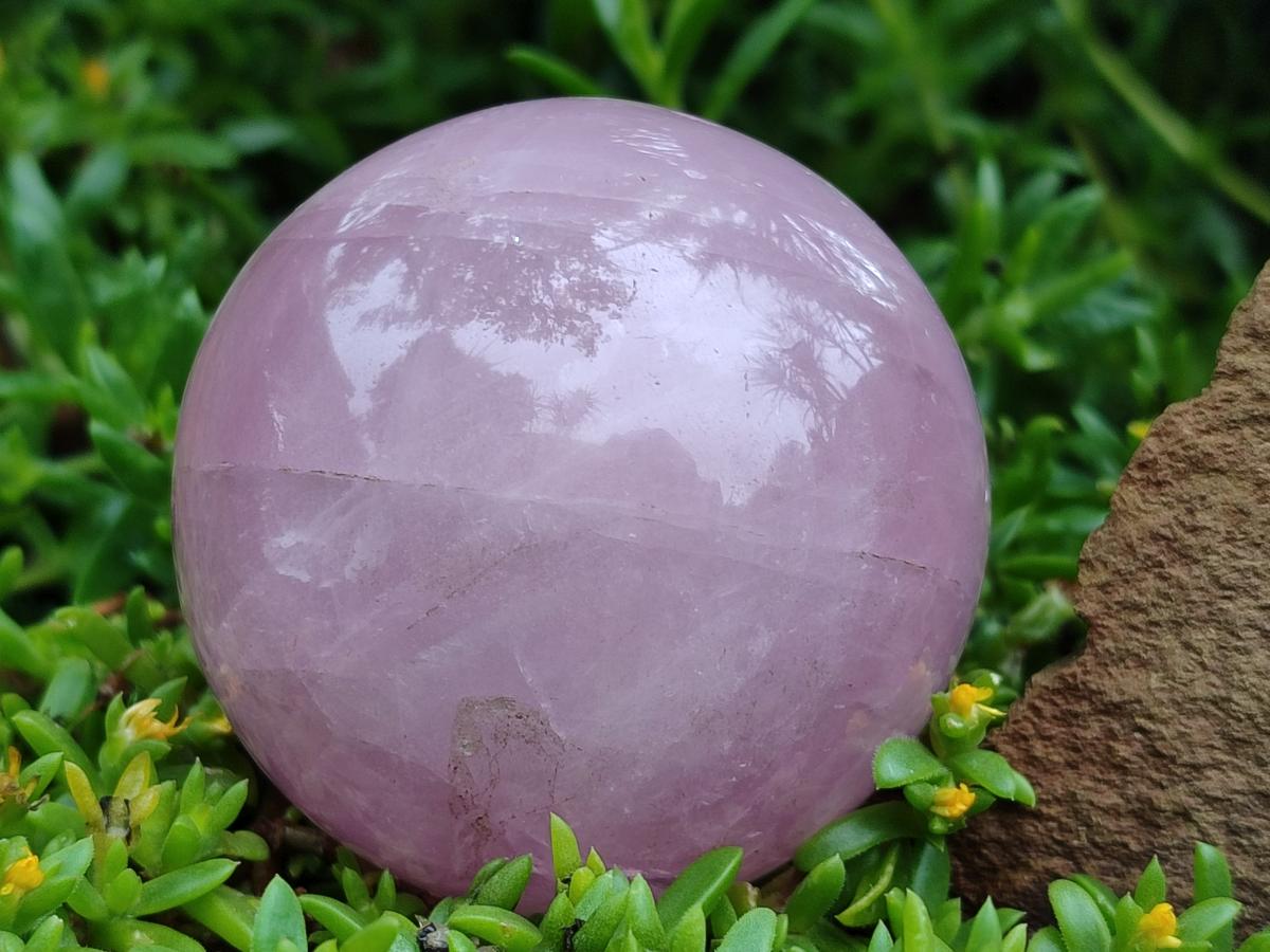 Polished Star Rose Quartz Spheres x 4 From Madagascar