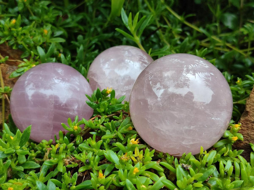 Polished Star Rose Quartz Spheres x 4 From Madagascar