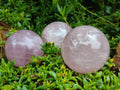 Polished Star Rose Quartz Spheres x 4 From Madagascar - Toprock Gemstones and Minerals 