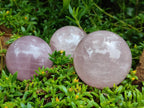 Polished Star Rose Quartz Spheres x 4 From Madagascar