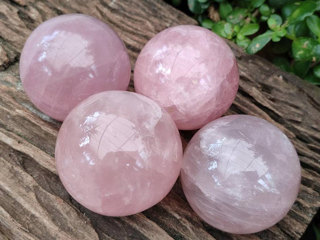 Polished Star Rose Quartz Spheres x 4 From Madagascar