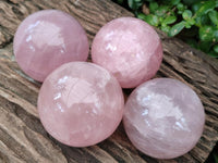 Polished Star Rose Quartz Spheres x 4 From Madagascar