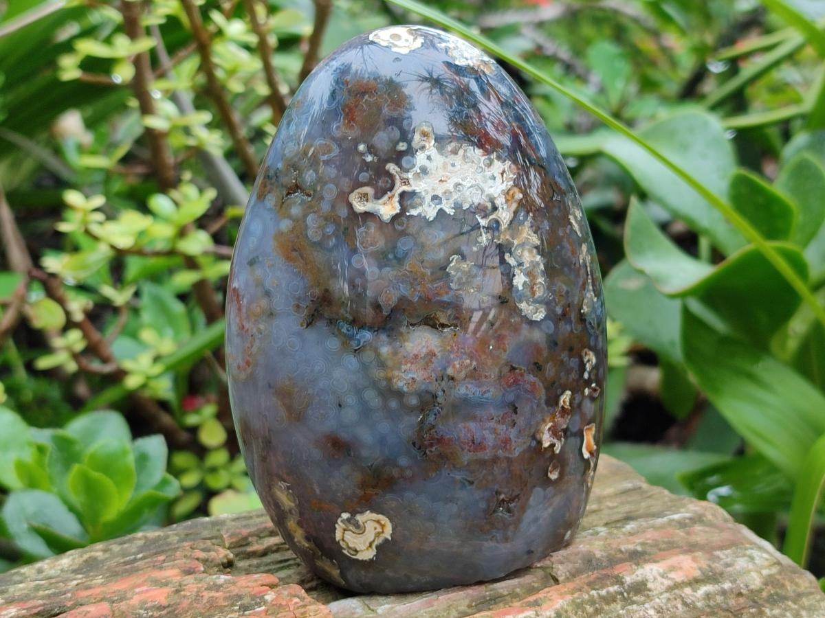 Polished Ocean Jasper Standing Free Forms x 3 From Northwest Coast, Madagascar