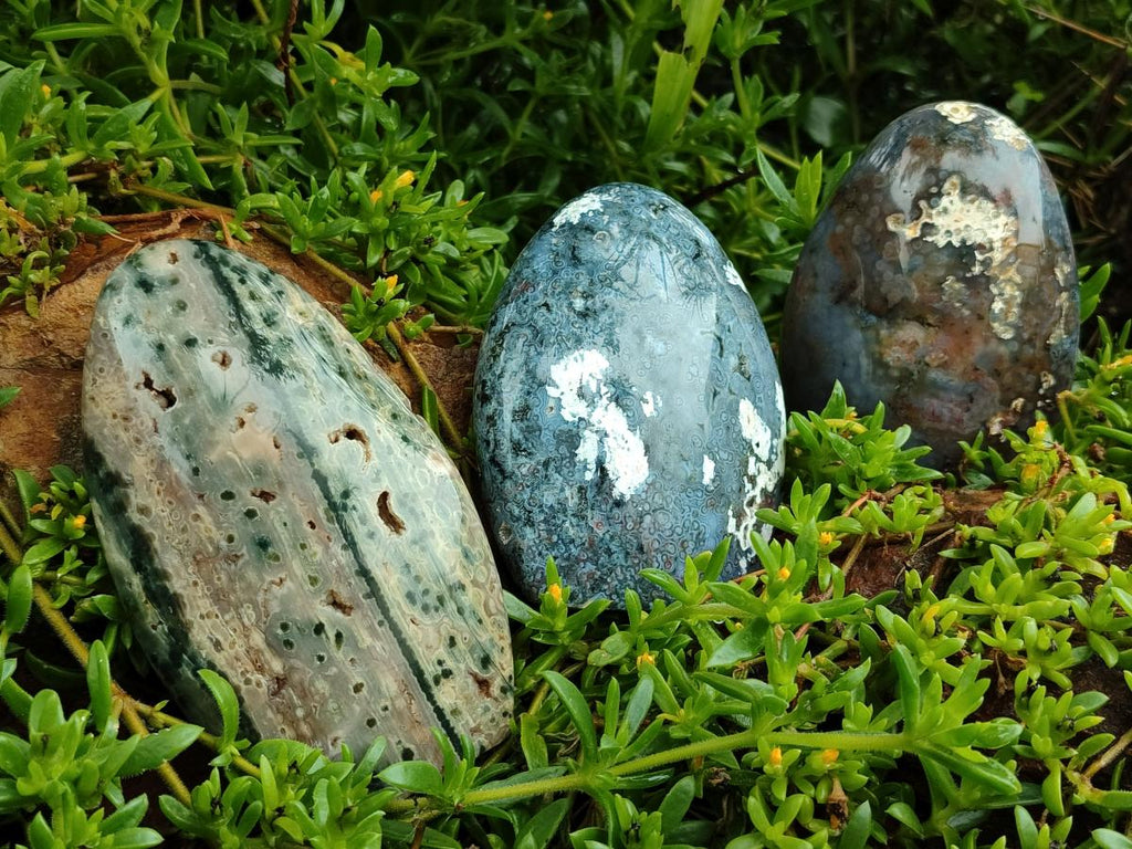 Polished Ocean Jasper Standing Free Forms x 3 From Northwest Coast, Madagascar