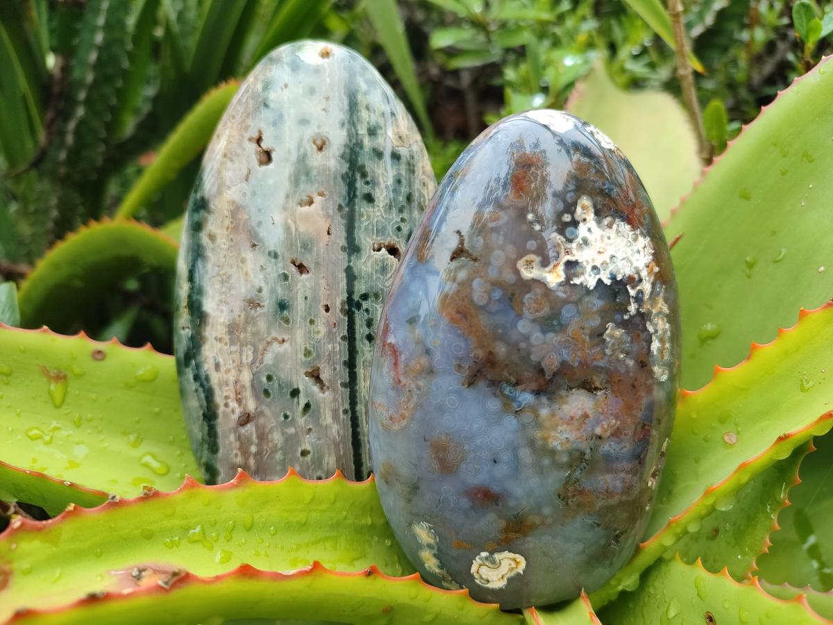 Polished Ocean Jasper Standing Free Forms x 3 From Northwest Coast, Madagascar