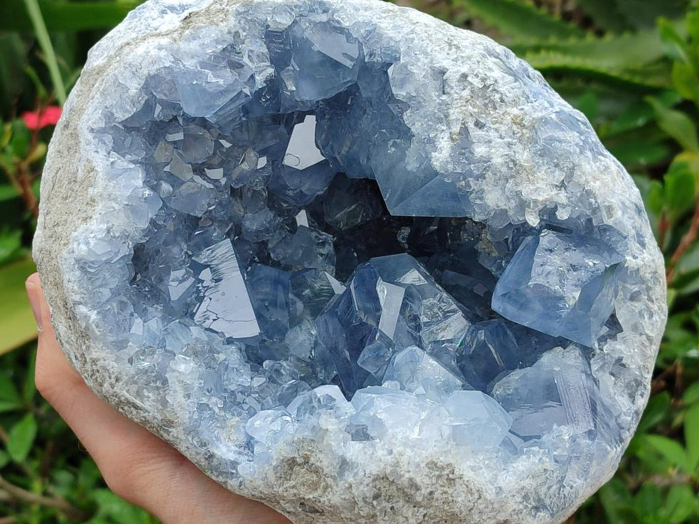 Natural Blue Celestite Geode Specimen x 1 From Sakoany, Madagascar
