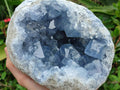 Natural Blue Celestite Geode Specimen x 1 From Sakoany, Madagascar