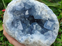 Natural Blue Celestite Geode Specimen x 1 From Sakoany, Madagascar
