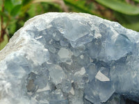 Natural Blue Celestite Geode Specimen x 1 From Sakoany, Madagascar