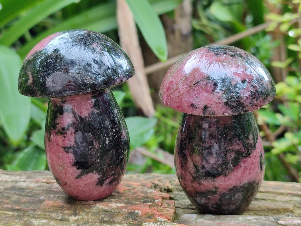 Polished Rhodonite Mushrooms x 6 From Ambindavato, Madagascar