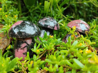 Polished Rhodonite Mushrooms x 6 From Ambindavato, Madagascar