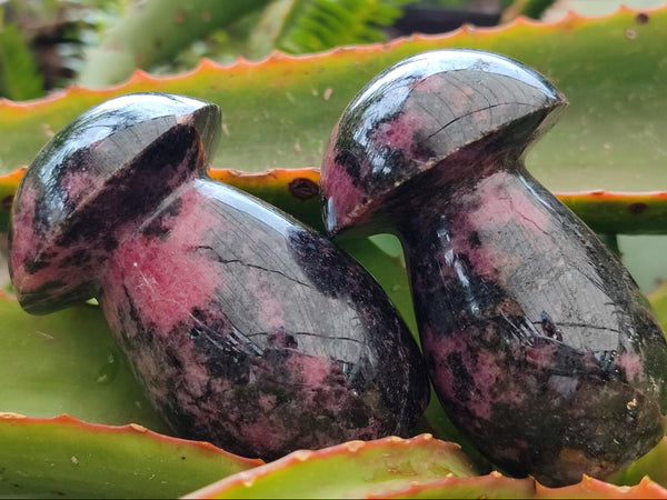 Polished Rhodonite Mushrooms x 6 From Ambindavato, Madagascar