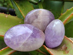 Polished Purple Chevron Amethyst Palm Stones x 24 From Madagascar