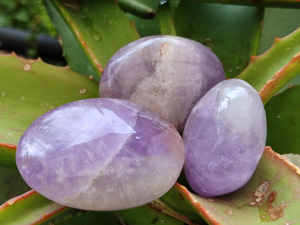 Polished Purple Chevron Amethyst Palm Stones x 24 From Madagascar