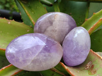 Polished Purple Chevron Amethyst Palm Stones x 24 From Madagascar