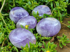 Polished Purple Chevron Amethyst Palm Stones x 24 From Madagascar