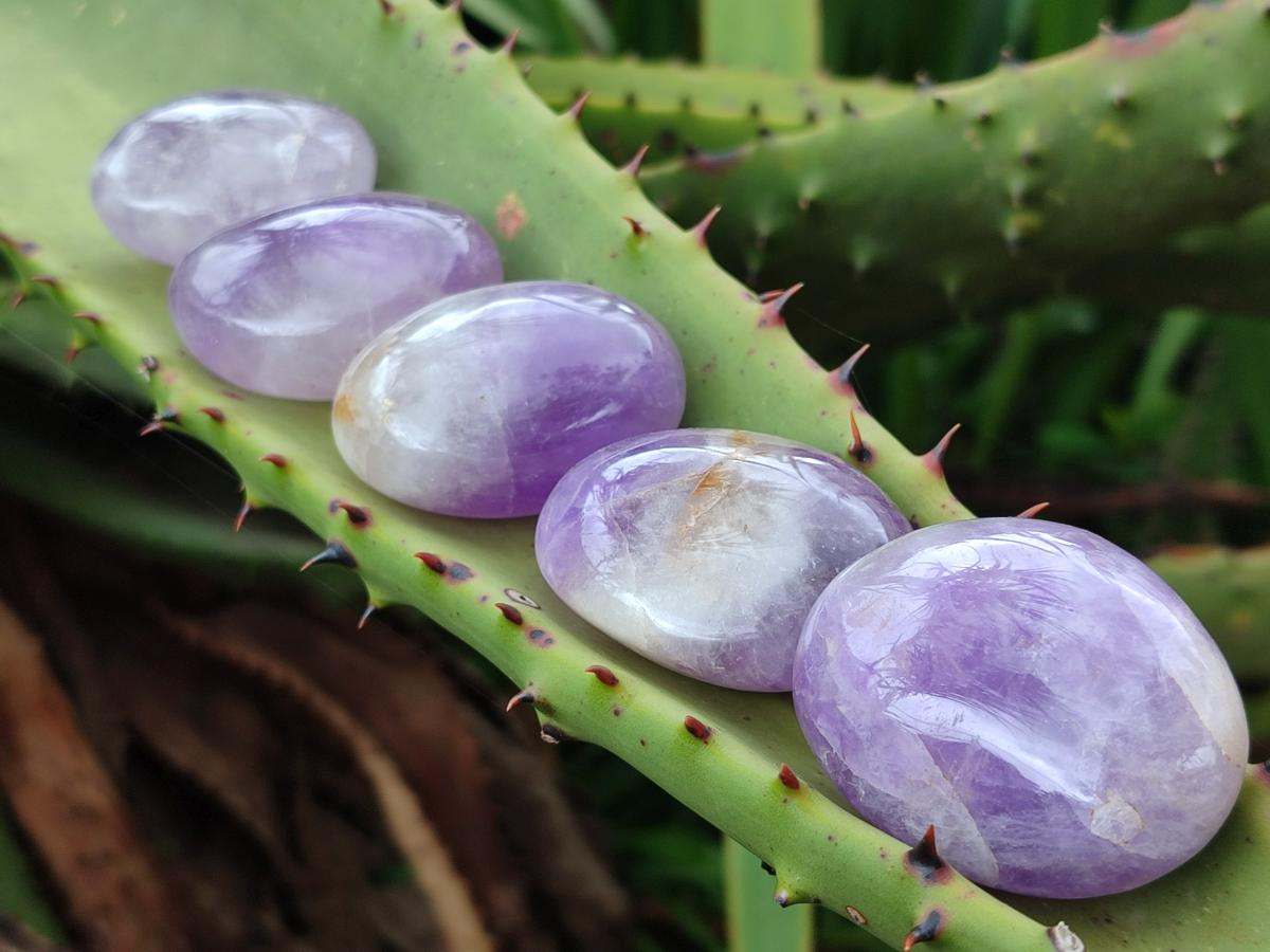 Polished Purple Chevron Amethyst Palm Stones x 24 From Madagascar
