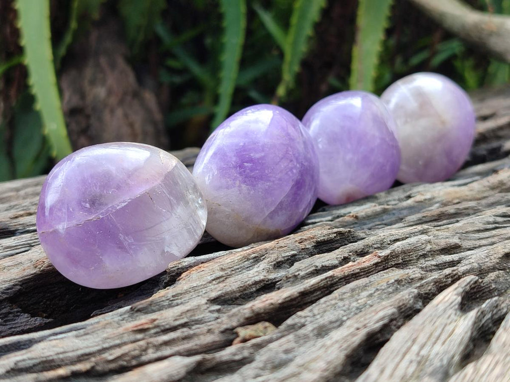 Polished Purple Chevron Amethyst Palm Stones x 24 From Madagascar
