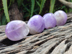 Polished Purple Chevron Amethyst Palm Stones x 24 From Madagascar
