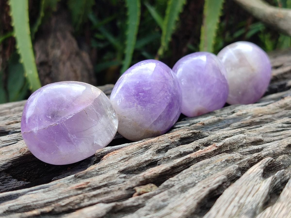 Polished Purple Chevron Amethyst Palm Stones x 24 From Madagascar