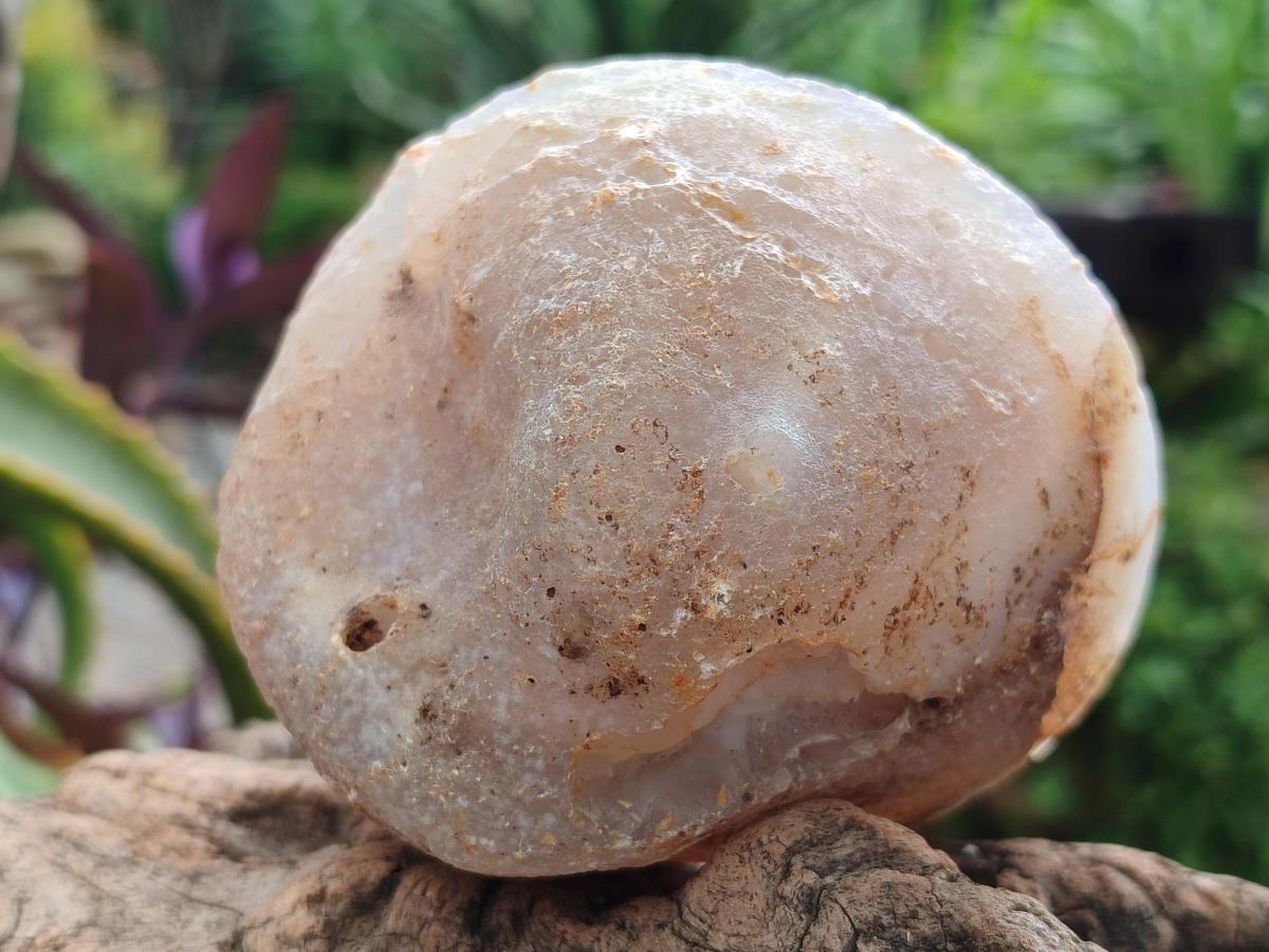 Polished Agates with Crystalline Geodes x 2 From Maintirano, Madagascar