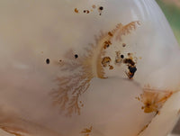 Polished Agate With Crystalline Vug Bowls x 2 From Maintirano, Madagascar