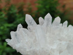 Natural Clear Quartz Clusters x 2 From Madagascar