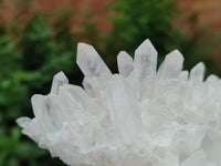 Natural Clear Quartz Clusters x 2 From Madagascar