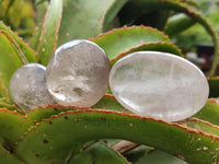 Polished Clear Smokey Quartz Crystals x 12 From Madagascar