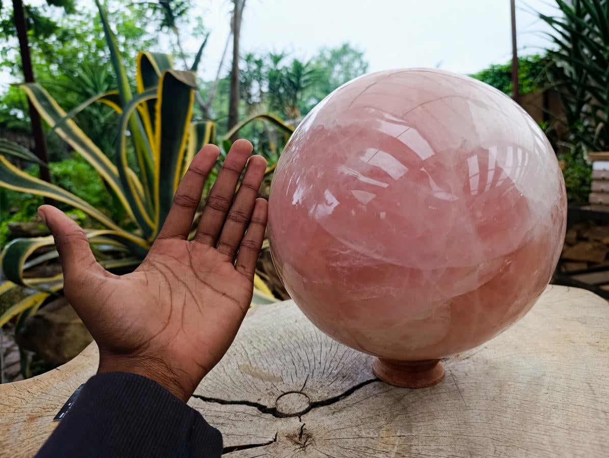 Polished XL Gemmy Star Rose Quartz Sphere x 1 From Madagascar