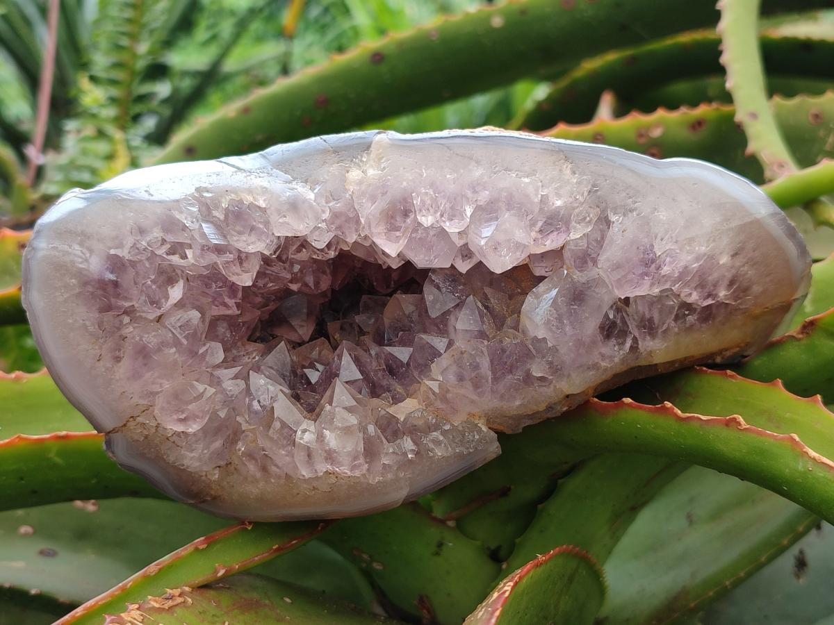 Polished Banded Agate with Amethyst Geodes x 2 From Maintirano, Madagascar