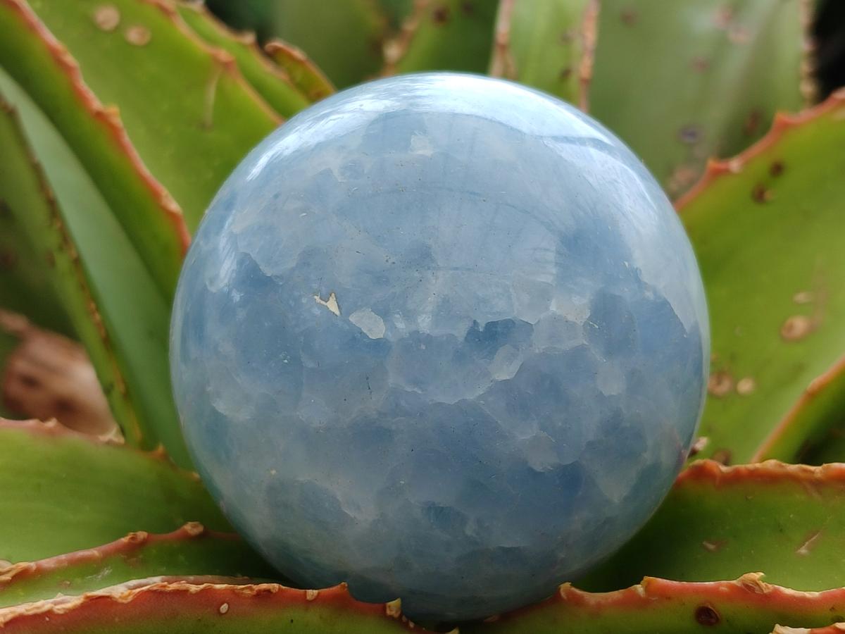 Polished Blue Calcite Spheres x 5 From Madagascar - Toprock Gemstones and Minerals 