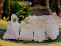 Natural Small Clear Quartz Clusters x 24 From Madagascar