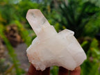Natural Small Clear Quartz Clusters x 24 From Madagascar