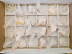 Natural Small Clear Quartz Clusters x 24 From Madagascar