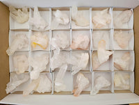 Natural Small Clear Quartz Clusters x 24 From Madagascar