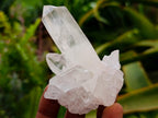 Natural Small Clear Quartz Clusters x 24 From Madagascar