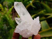 Natural Small Clear Quartz Clusters x 24 From Madagascar