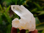Natural Small Clear Quartz Clusters x 24 From Madagascar